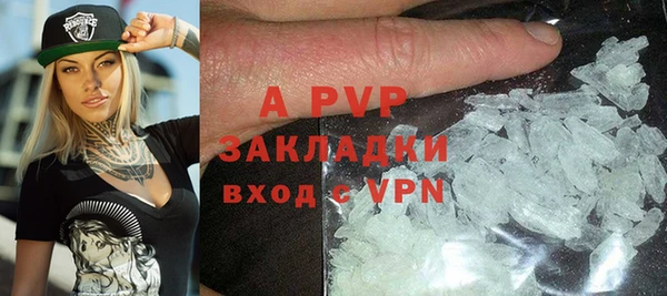 гидра Алексин