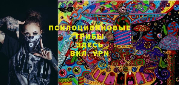 гашик Алексеевка