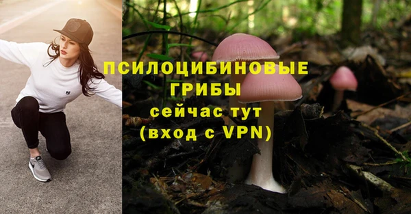 ешки Переславль-Залесский