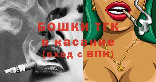 гашик Алексеевка